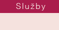 Služby